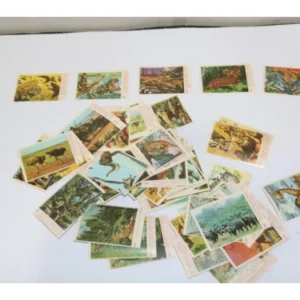 Αυτοκόλλητα Χαρτάκια από τη Σειρά Γκοφρέτα Σαφάρι