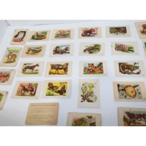 Χαρτάκια Ζώα Από Όλο τον Κόσμο 0.80€ Έκαστο