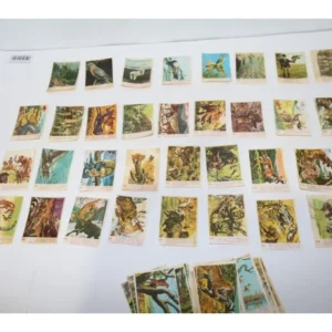 Χαρτάκια από την Γκοφρέτα Σαφάρι