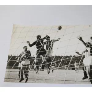 Φωτογραφία από τον αγώνα Ολυμπιακός - Βοϊβοντίνα