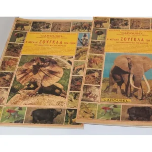 Άλμπουμ η Μεγάλη Ζούγκλα των Ζώων Καρουζέλ  Δύο Διαφορετικά Εξώφυλλα